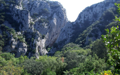 Gorges de Coyne Pont