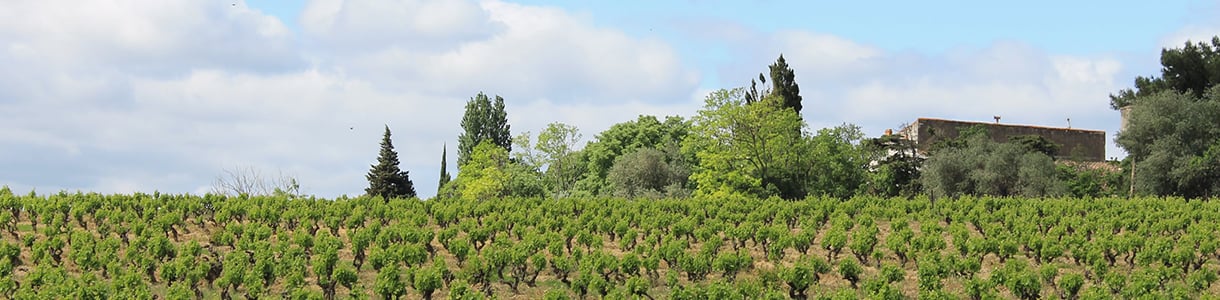 Camplong d’Aude