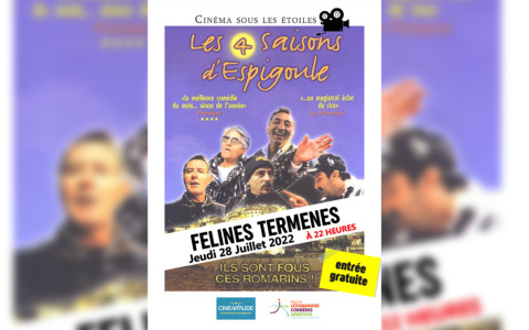 Cinéma sous les étoiles à Félines-Termenès