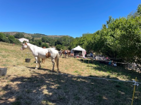 Fête de Bouisse