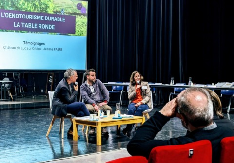 Grands vins en Corbières-Minervois-Fitou