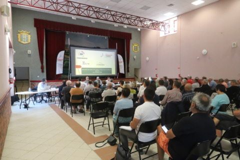 Conférence des maires