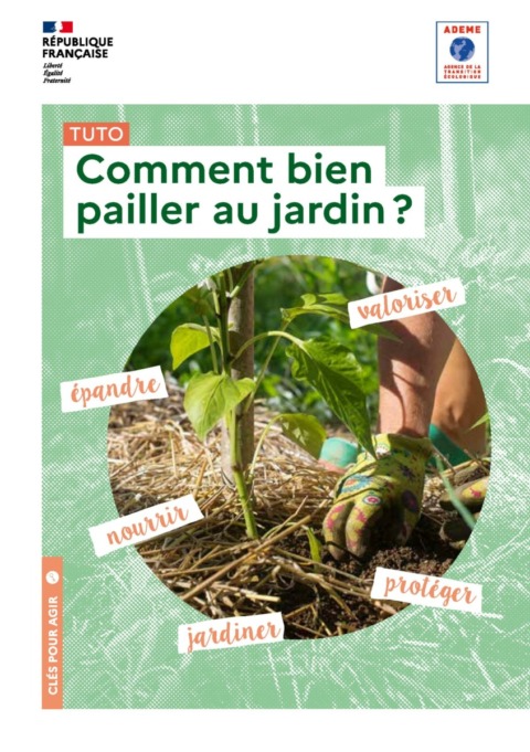 Guide – Comment bien pailler au jardin?