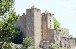 Château du XIVe siècle